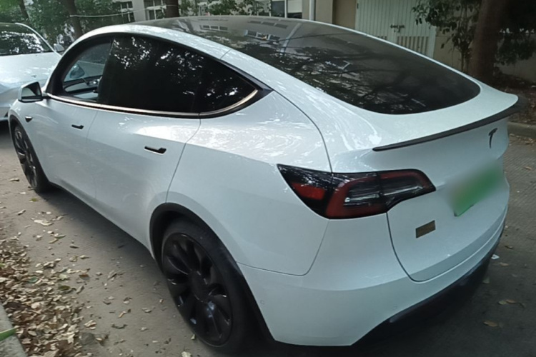 Tesla Model Y 2023 #5 Tesla Model Y 2023 car image #5