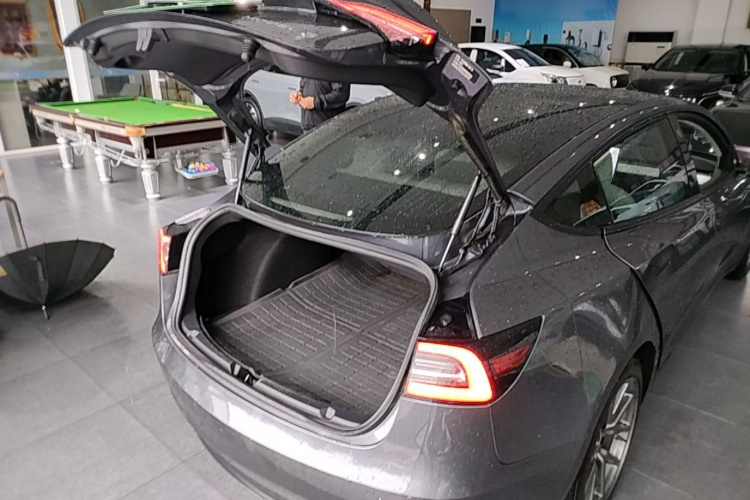 Tesla Model 3 2020 #21 Tesla Model 3 2020 car image #21