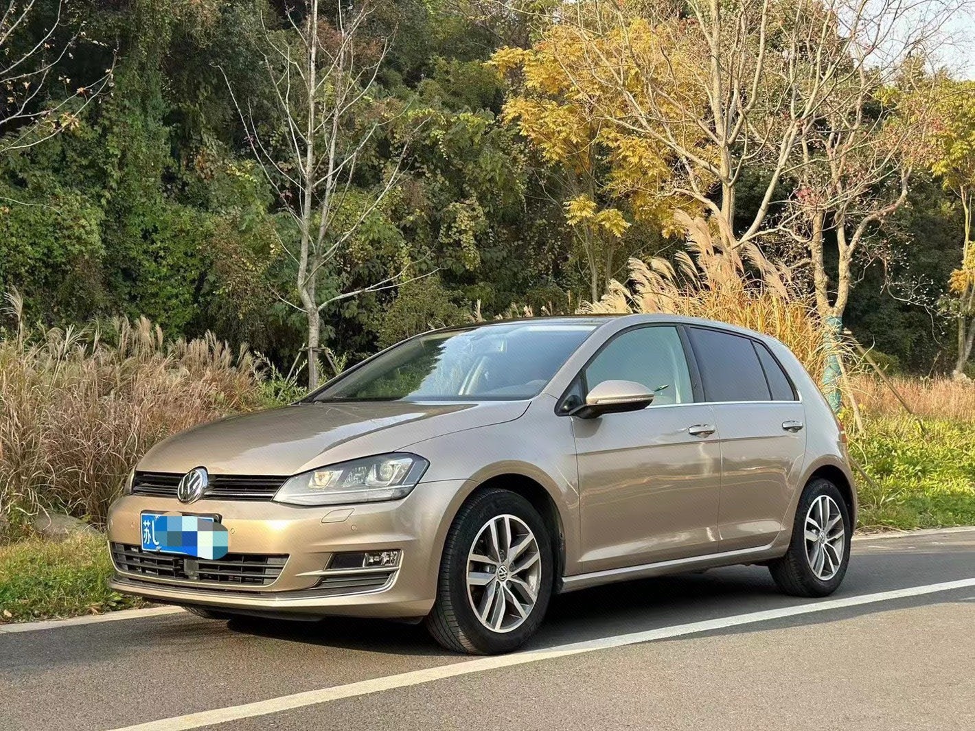 Volkswagen Golf 2014 Volkswagen Golf 2014 car image