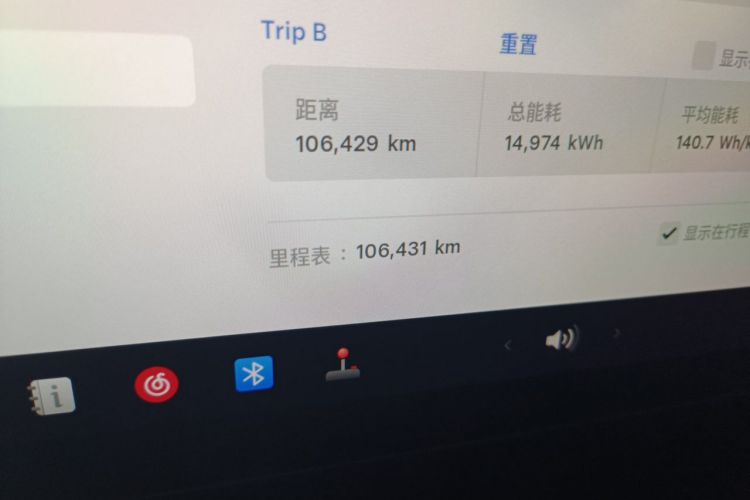 Tesla Model Y 2021 car image #10