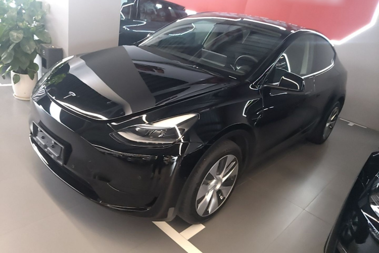 Tesla Model Y 2022 #2 Tesla Model Y 2022 car image #2