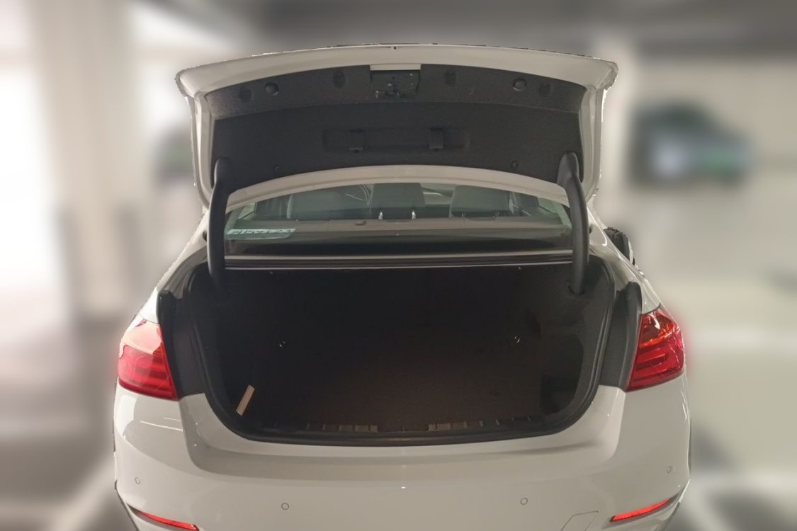 BMW 3 Series 2015 car image #8