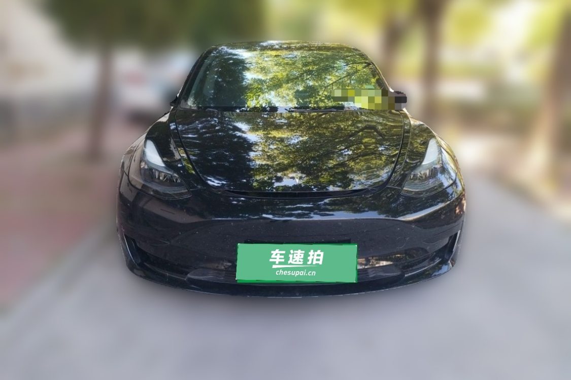 Tesla Model 3 2023 #5 Tesla Model 3 2023 car image #5