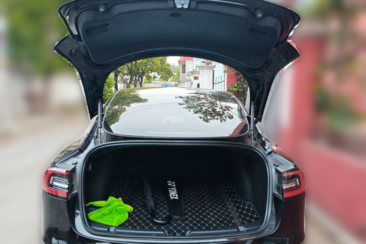 Tesla Model 3 2020 #21 Tesla Model 3 2020 car image #21