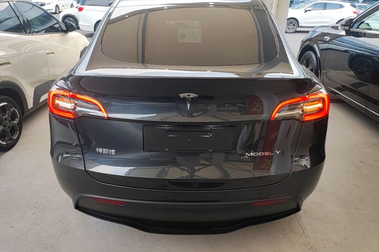 Tesla Model Y 2024 car image #6