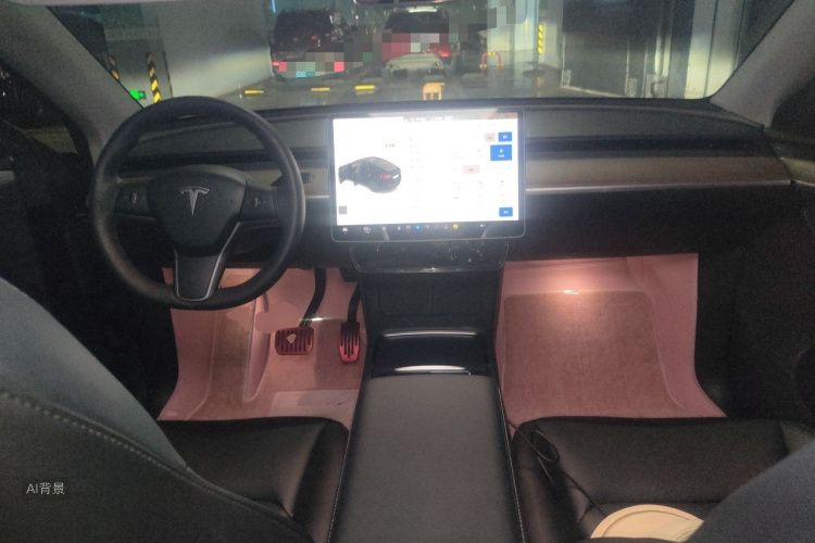 Tesla Model Y 2021 #11 Tesla Model Y 2021 صورة سيارة #11