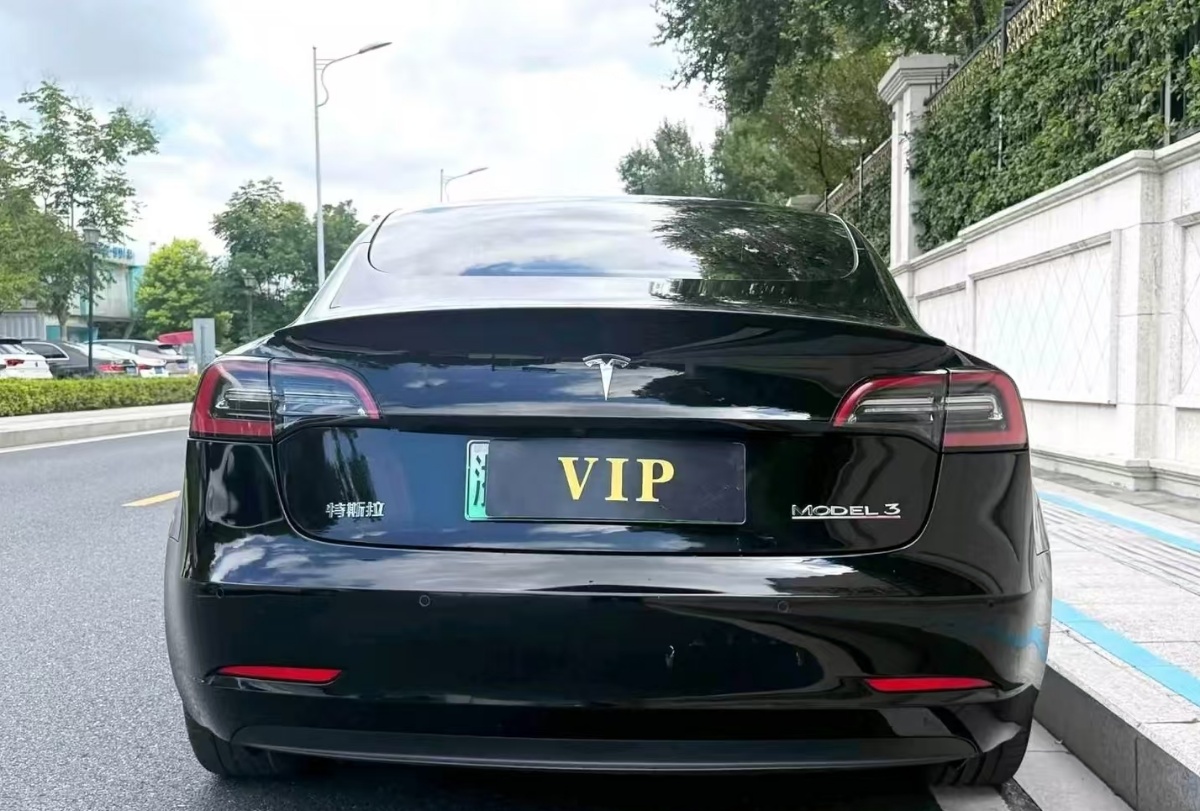 Tesla Model 3 2021 car image #8