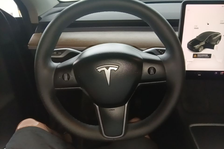 Tesla Model Y 2021 #11 Tesla Model Y 2021 car image #11