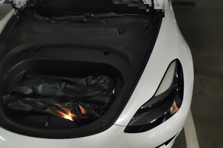 Tesla Model 3 2021 #27 Tesla Model 3 2021 car image #27