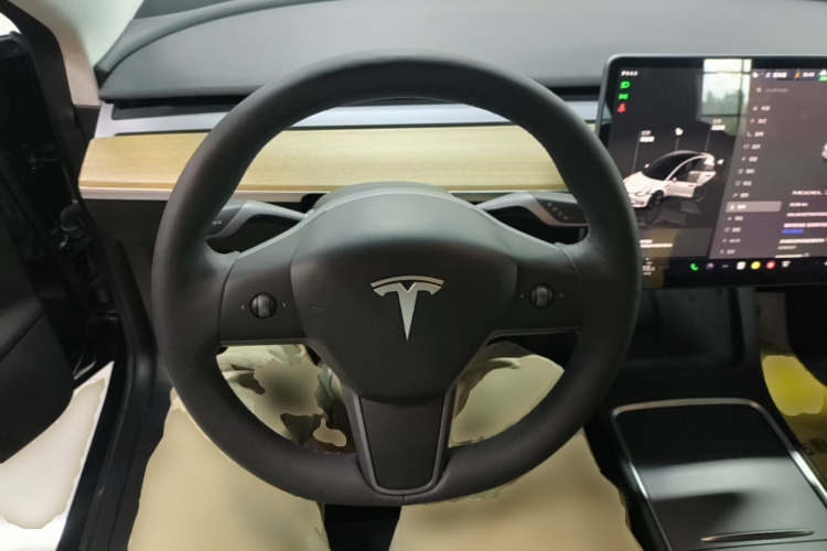 Tesla Model 3 2023 #15 Tesla Model 3 2023 car image #15