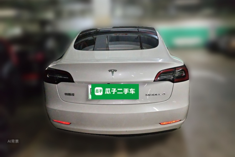 Tesla Model 3 2021 car image #6