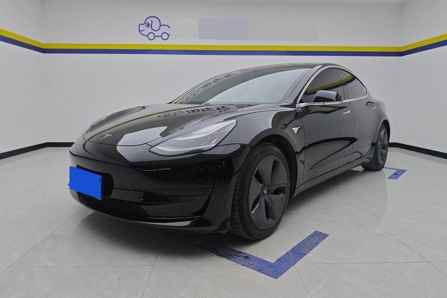 Tesla Model 3 2020 Tesla Model 3 2020 car image