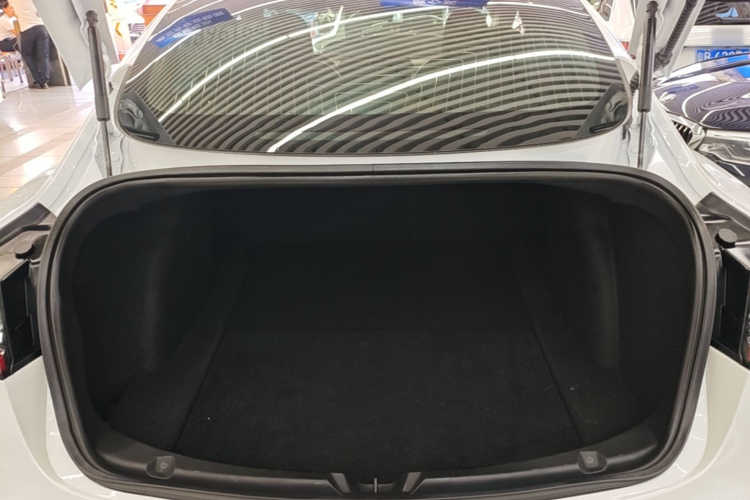 Tesla Model 3 2020 car image #19