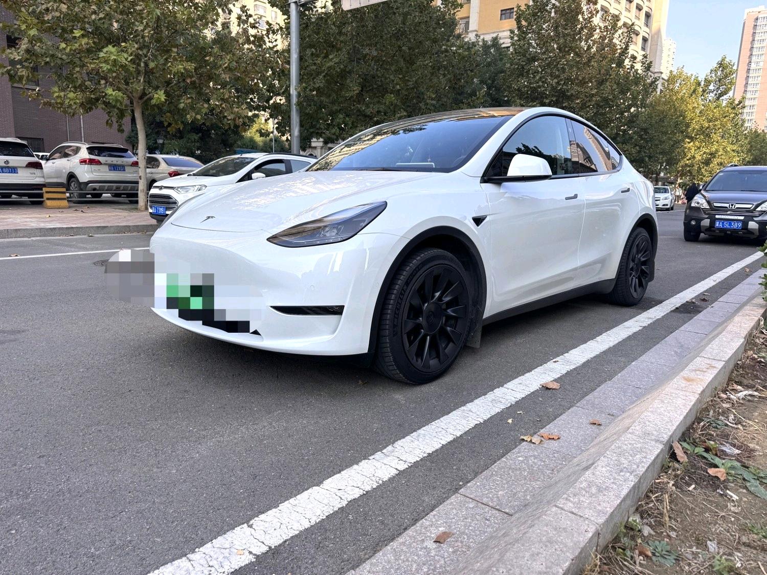 Tesla Model Y 2023 car image 