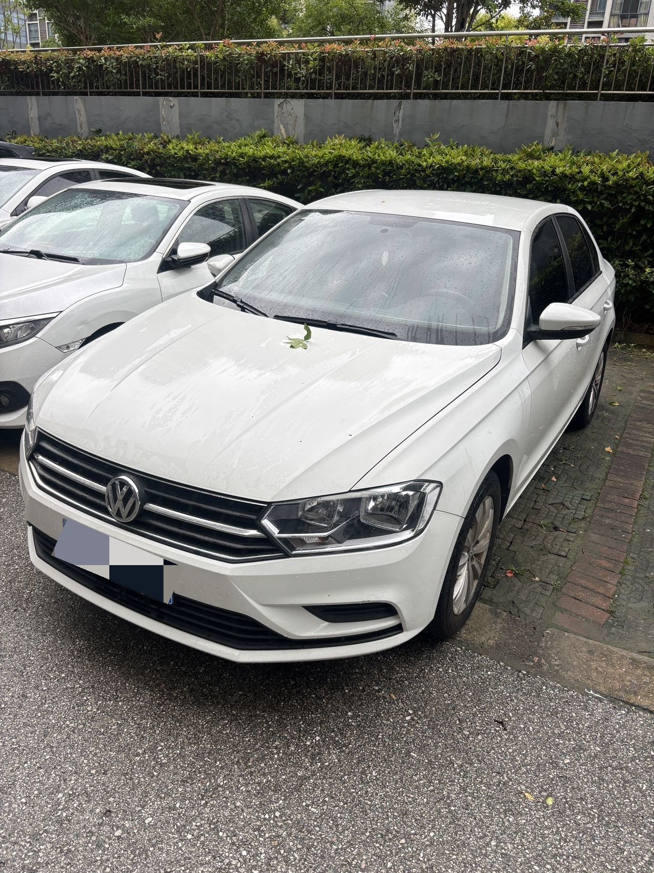 Volkswagen Bora 2022 Volkswagen Bora 2022 car image