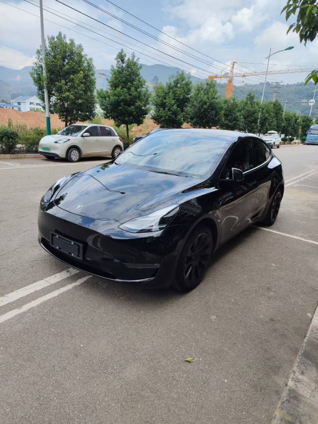 Tesla Model Y 2021 Tesla Model Y 2021 car image