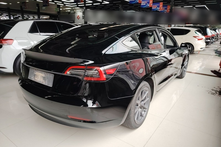 Tesla Model 3 2023 #5 Tesla Model 3 2023 car image #5