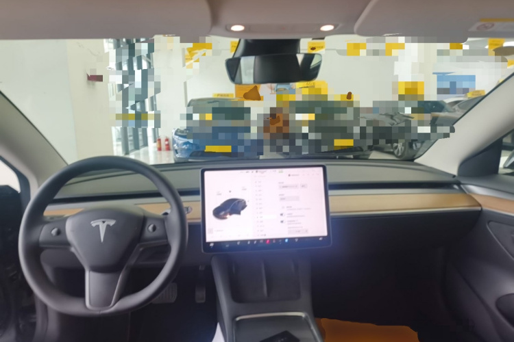 Tesla Model 3 2021 car image #10