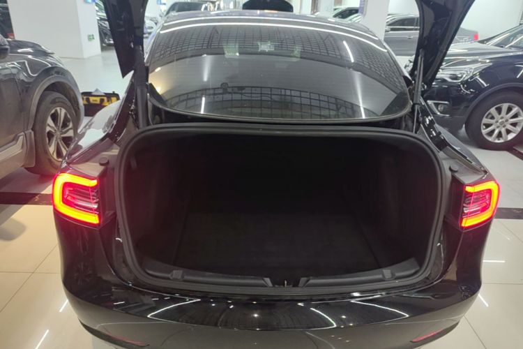 Tesla Model 3 2021 #19 Tesla Model 3 2021 car image #19