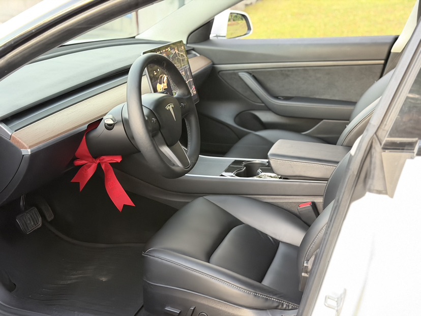 Tesla Model 3 2020 #6 Tesla Model 3 2020 immagine di auto #6