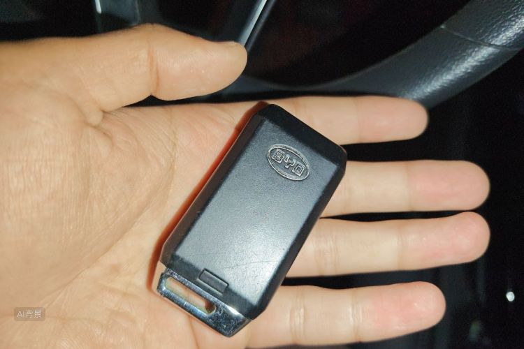 BYD Yuan New Energy 2020 #10 BYD Yuan New Energy 2020 imagen de coche #10