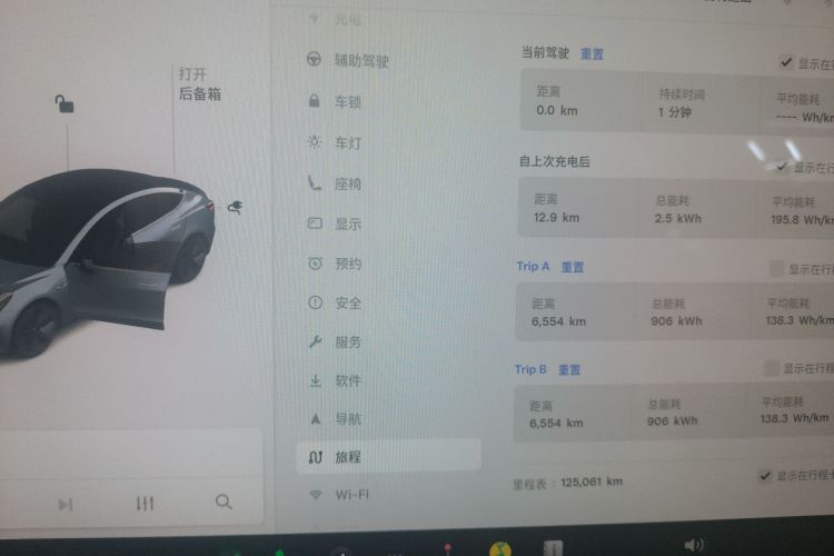 Tesla Model 3 2020 car image #9