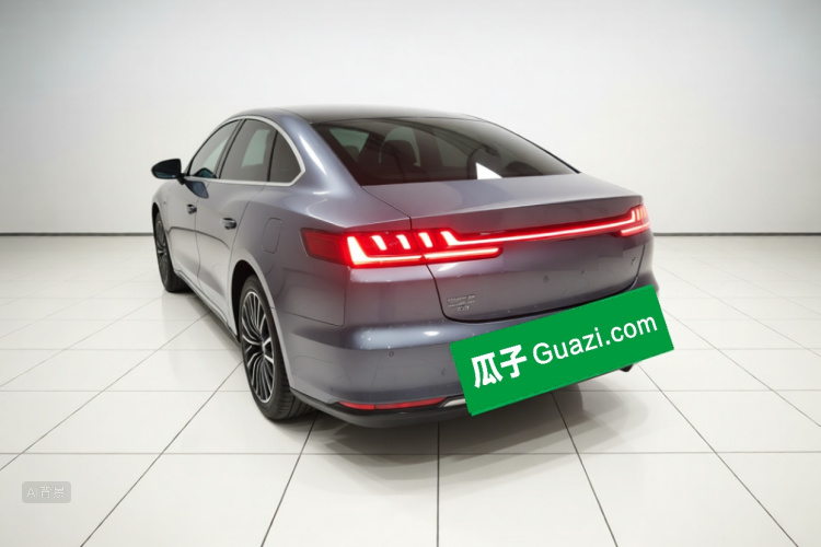 BYD Han 2021 #5 BYD Han 2021 immagine di auto #5