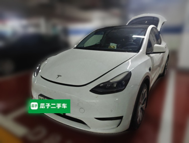 Tesla Model Y 2022 Tesla Model Y 2022 car image