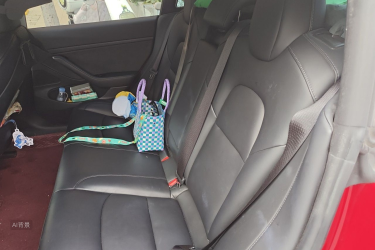Tesla Model 3 2020 car image #19