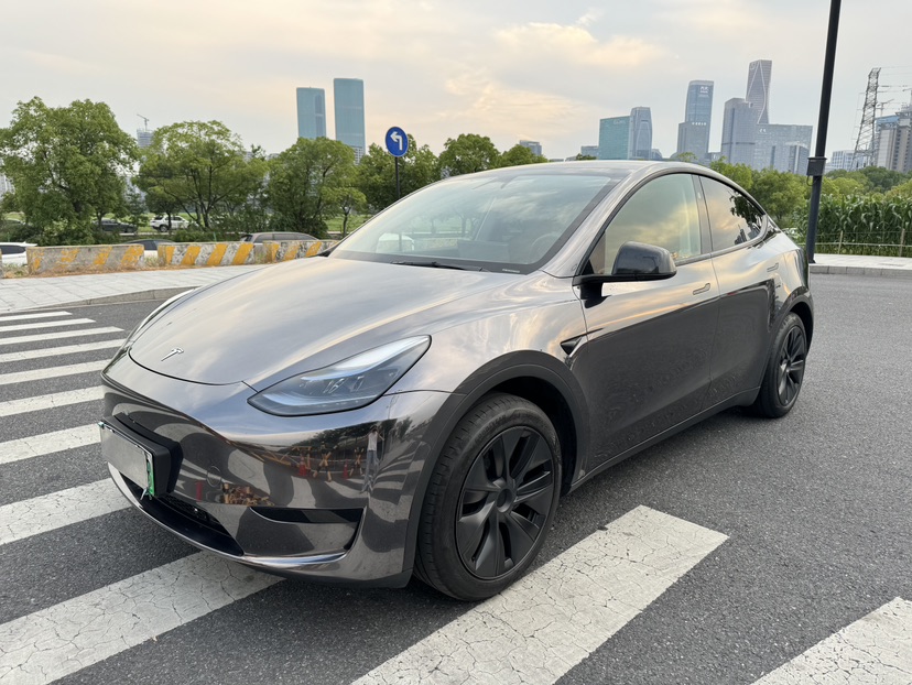 Tesla Model Y 2024 Tesla Model Y 2024 car image