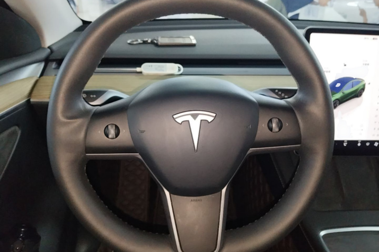 Tesla Model Y 2022 car image #15