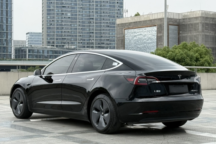 Tesla Model 3 2020 car image #6