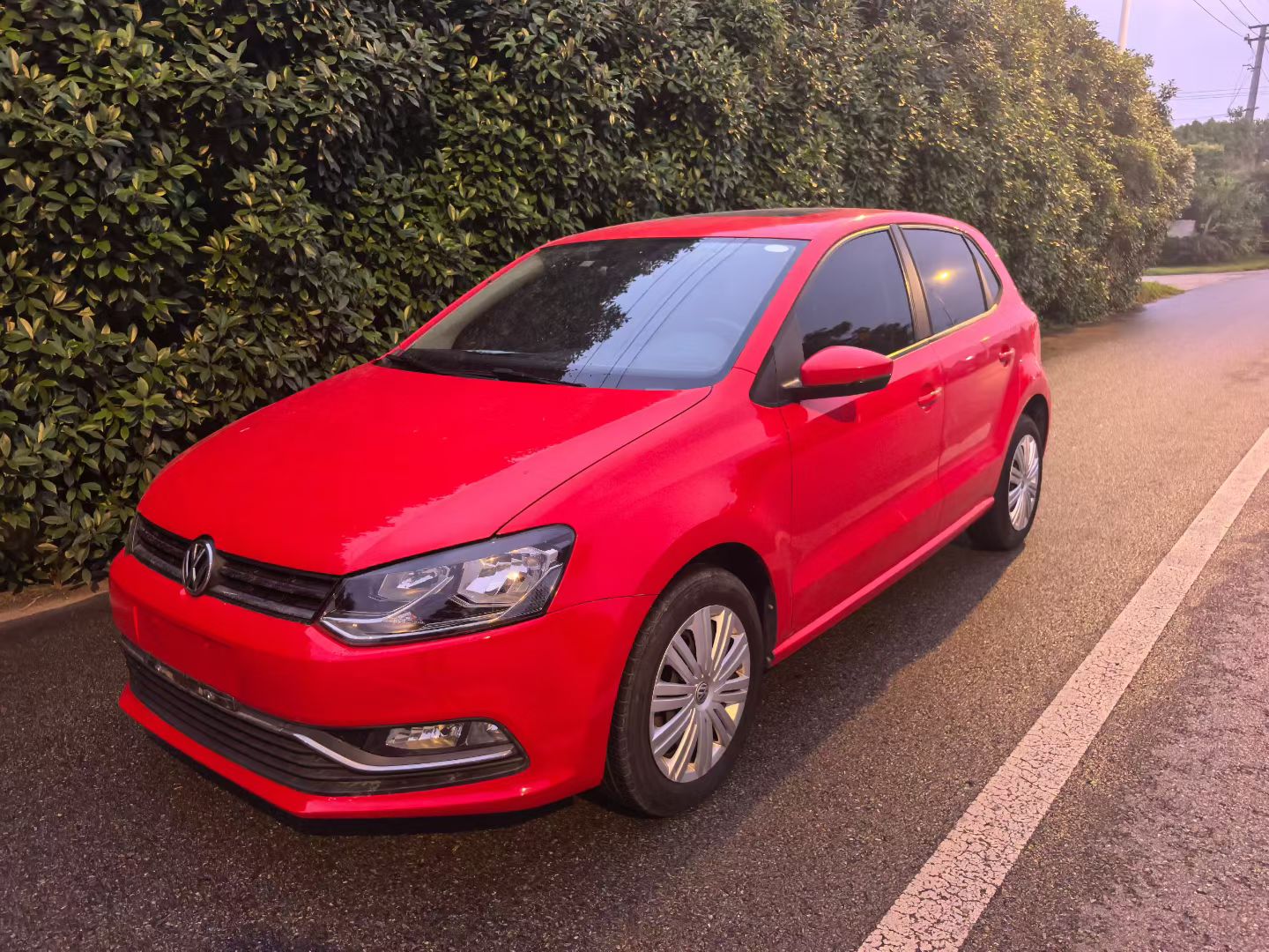 Volkswagen Polo 2016 Volkswagen Polo 2016 car image