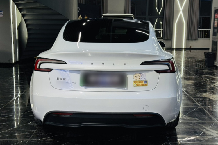 Tesla Model 3 2024 #7 Tesla Model 3 2024 car image #7