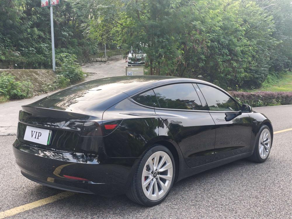 Tesla Model 3 2021 #6 Tesla Model 3 2021 car image #6