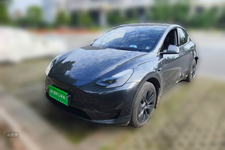 Tesla Model Y 2024 #2 Tesla Model Y 2024 car image #2