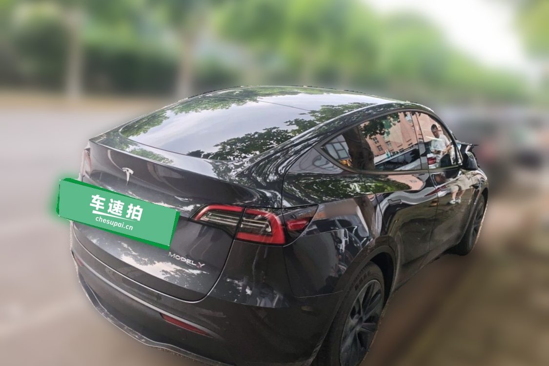 Tesla Model Y 2024 #4 Tesla Model Y 2024 car image #4
