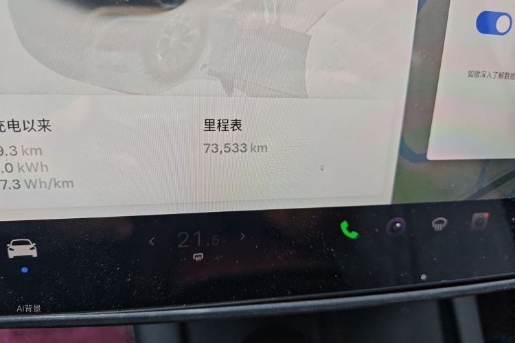 Tesla Model Y 2023 car image #14
