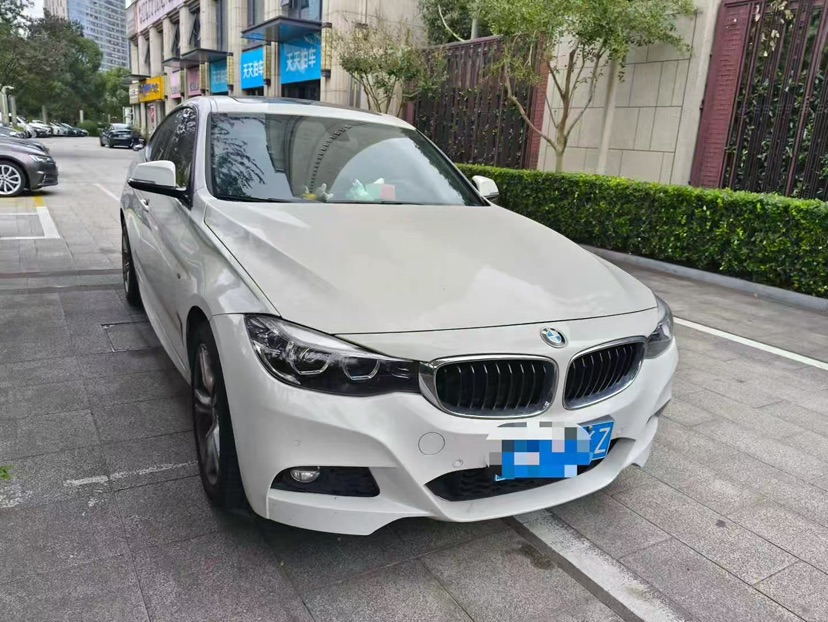 BMW 3 Series GT 2019 #2 BMW 3 Series GT 2019 car image #2