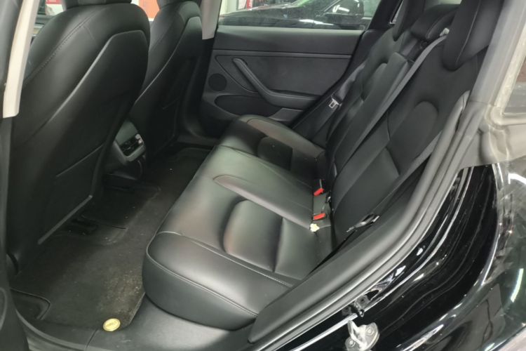 Tesla Model 3 2021 car image #13