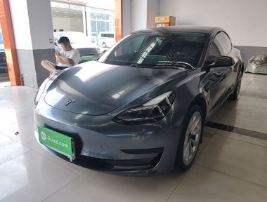 Tesla Model 3 2021 Tesla Model 3 2021 immagine di auto
