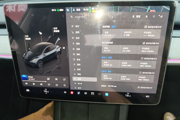 Tesla Model Y 2024 car image #12