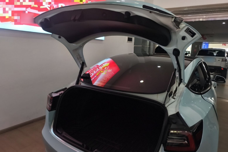 Tesla Model 3 2023 #19 Tesla Model 3 2023 car image #19