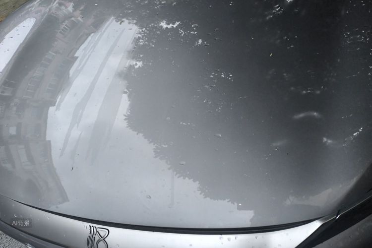 BYD Han 2021 #22 BYD Han 2021 immagine di auto #22