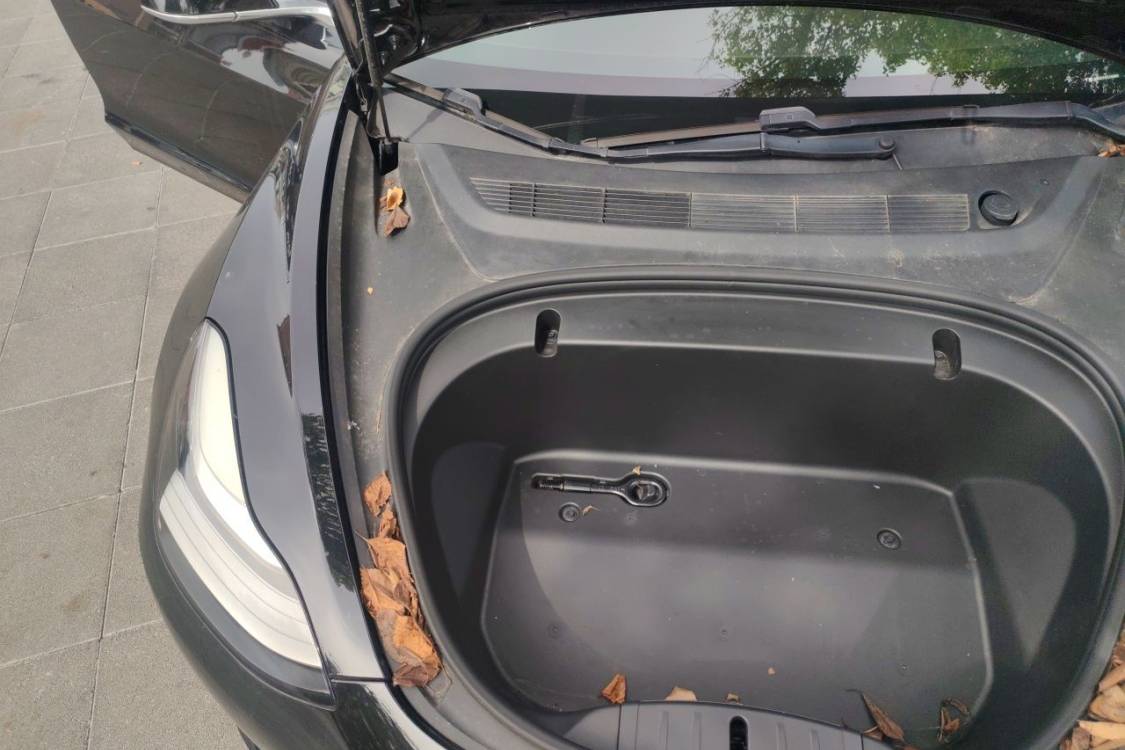 Tesla Model 3 2020 #11 Tesla Model 3 2020 imagen de coche #11