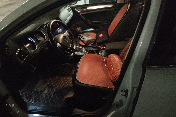 Volkswagen Golf 2019 #17 Volkswagen Golf 2019 car image #17