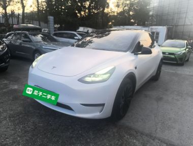 Tesla Model Y 2021 Tesla Model Y 2021 car image