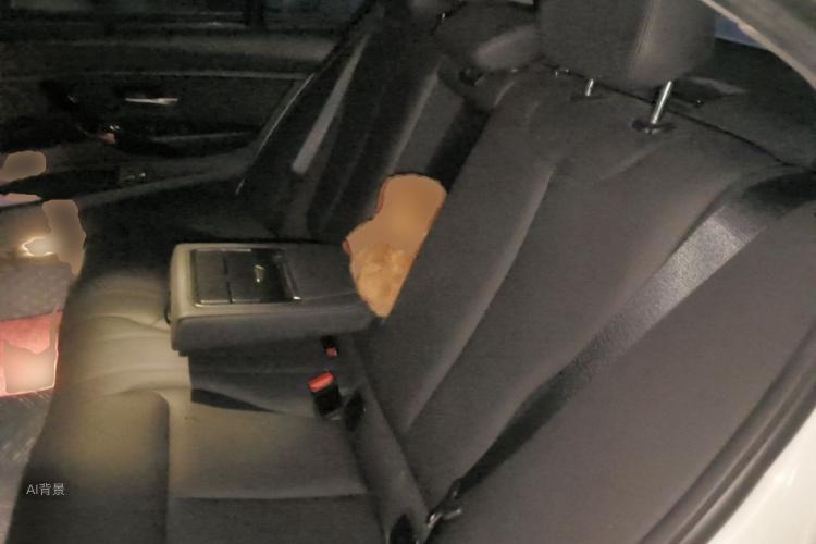 BMW 3 Series 2017 immagine di auto #19