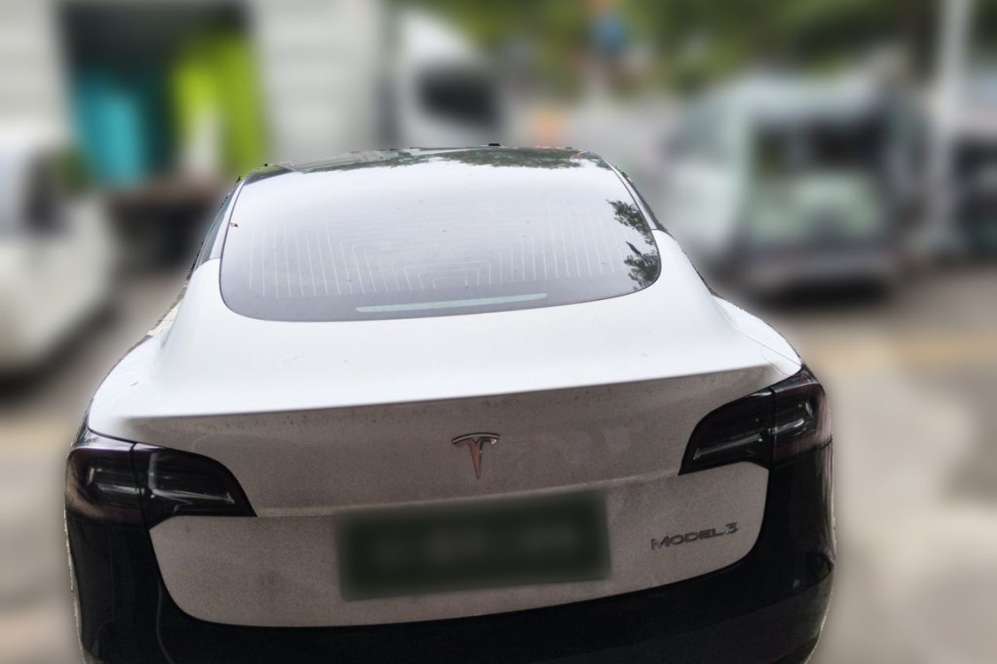 Tesla Model 3 2020 car image #6