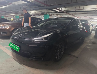 Tesla Model 3 2021 car image 